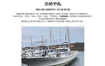 かめや丸