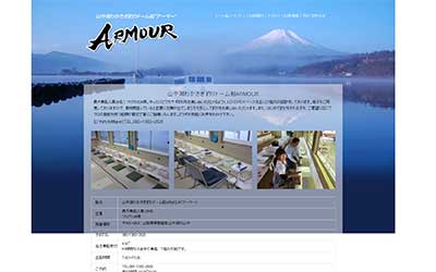 ARMOUR